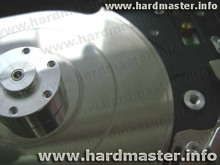 A lower disc plate