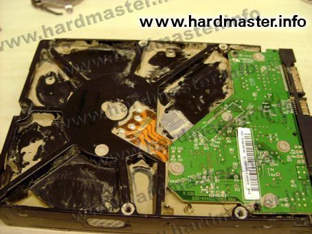 HDD WD ������������ �� ����������