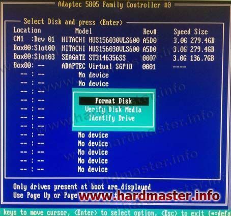 Adaptec 5805 BIOS Disk Utilities Format Disk