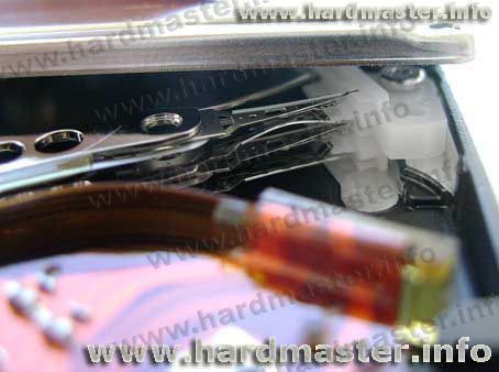 Головкам досталось от души