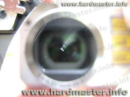 Задир и следы ударов по поверхности осколоков голов Задир и следы ударов по поверхности осколоков голов