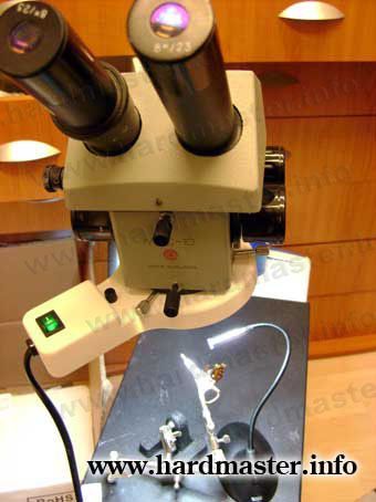 Heads through the microscope