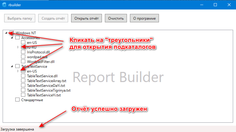 Опции в работе с открытым отчётом