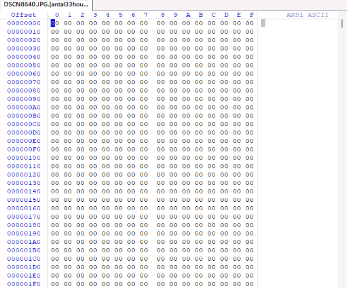 A file infected with an encryption ransomware virus