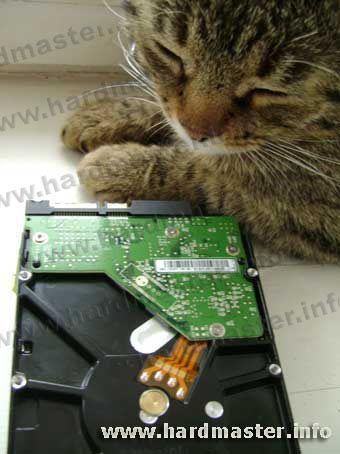 Зюксель vs WD