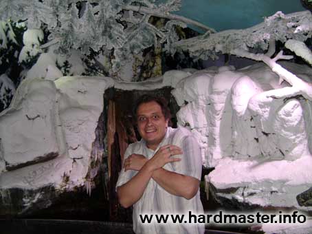 Зимний павильон