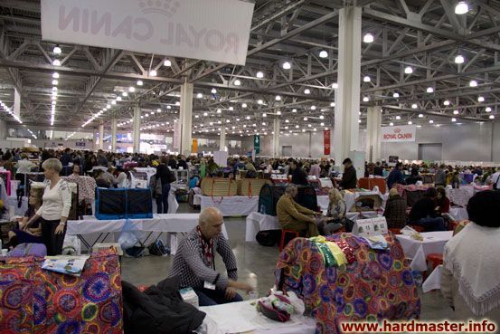 Выставка кошек в Москве 2013